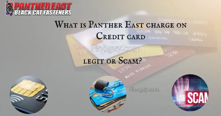 A photo of a credit card statement with a question about a charge from Panther East Black Cat Fasteners.